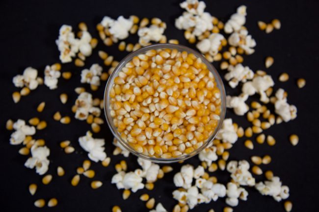 Organic popcorn kernels