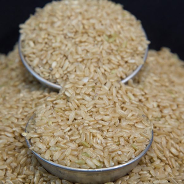 Organic short-grain brown rice